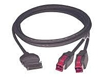 Epson 010842A 10 Feet Y USB Cable Adapter 24 V Dark Gray