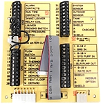 Lochinvar 100167579 RLY20062 Low Voltage Connection Board