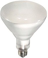 Philips 389130 BR40 FL60 Frosted Incandescent Light Bulb 65 Watts 120 V