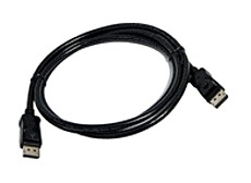BizLink 089G 187BAA500 Male to Male DisplayPort Cable 6 Feet