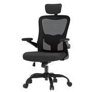 Office Supplies>Office Furniture - Flexispot - OC1BK-SD-DP - Used-Acceptable