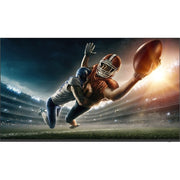 Televisions>Commercial TVs - Sharp Electronics - 4P-B43EJ2U - Open Box
