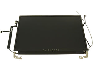 Dell DWDFH 17.3-inch LCD Screen Assembly