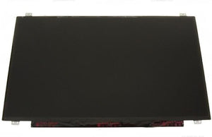 Dell 257DG OEM 17.3-Inch Full HD LCD Screen Complete Assembly