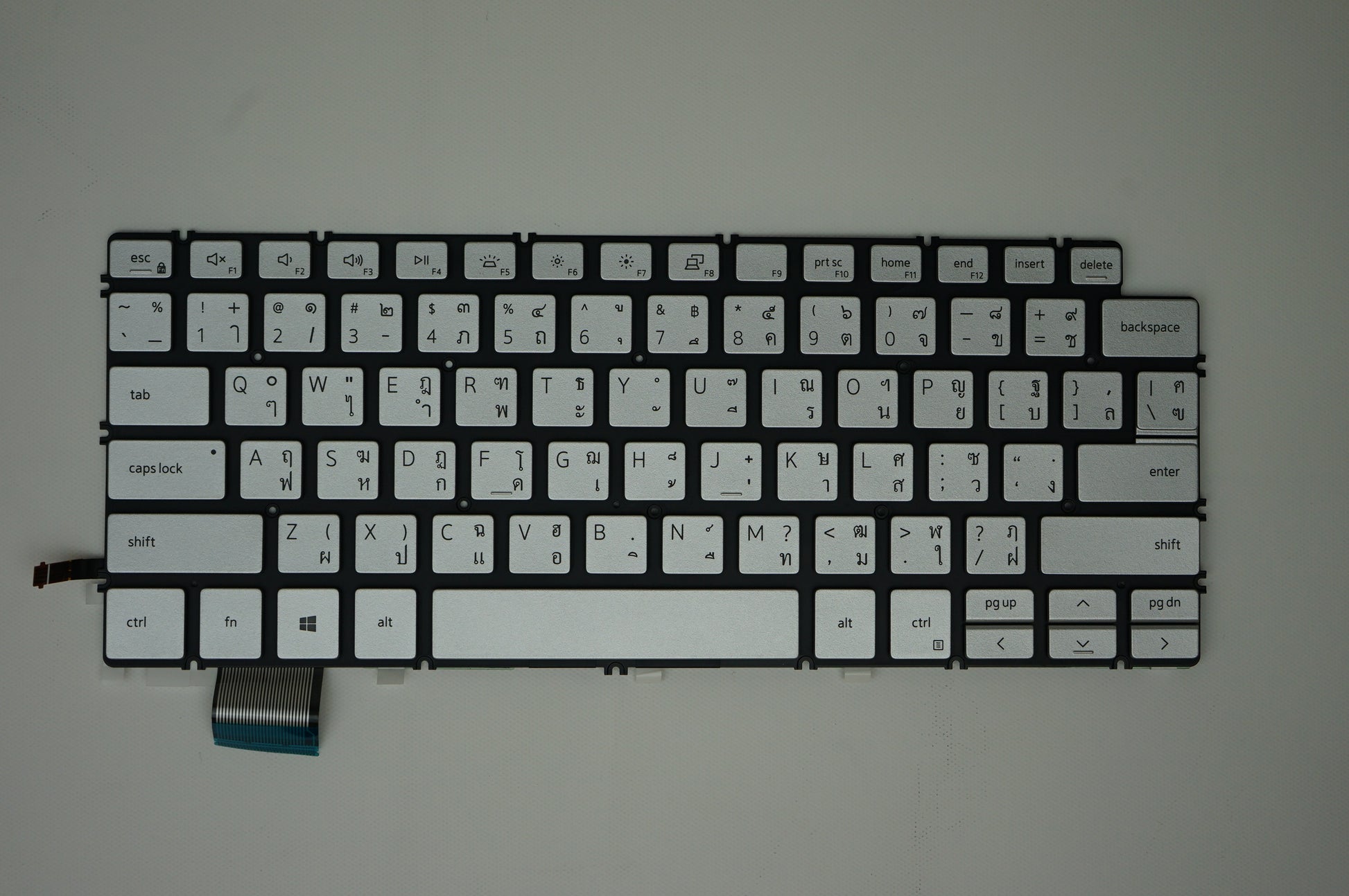 Components>Chassis & Chassis Parts>Laptops - Dell - 1H02X - New