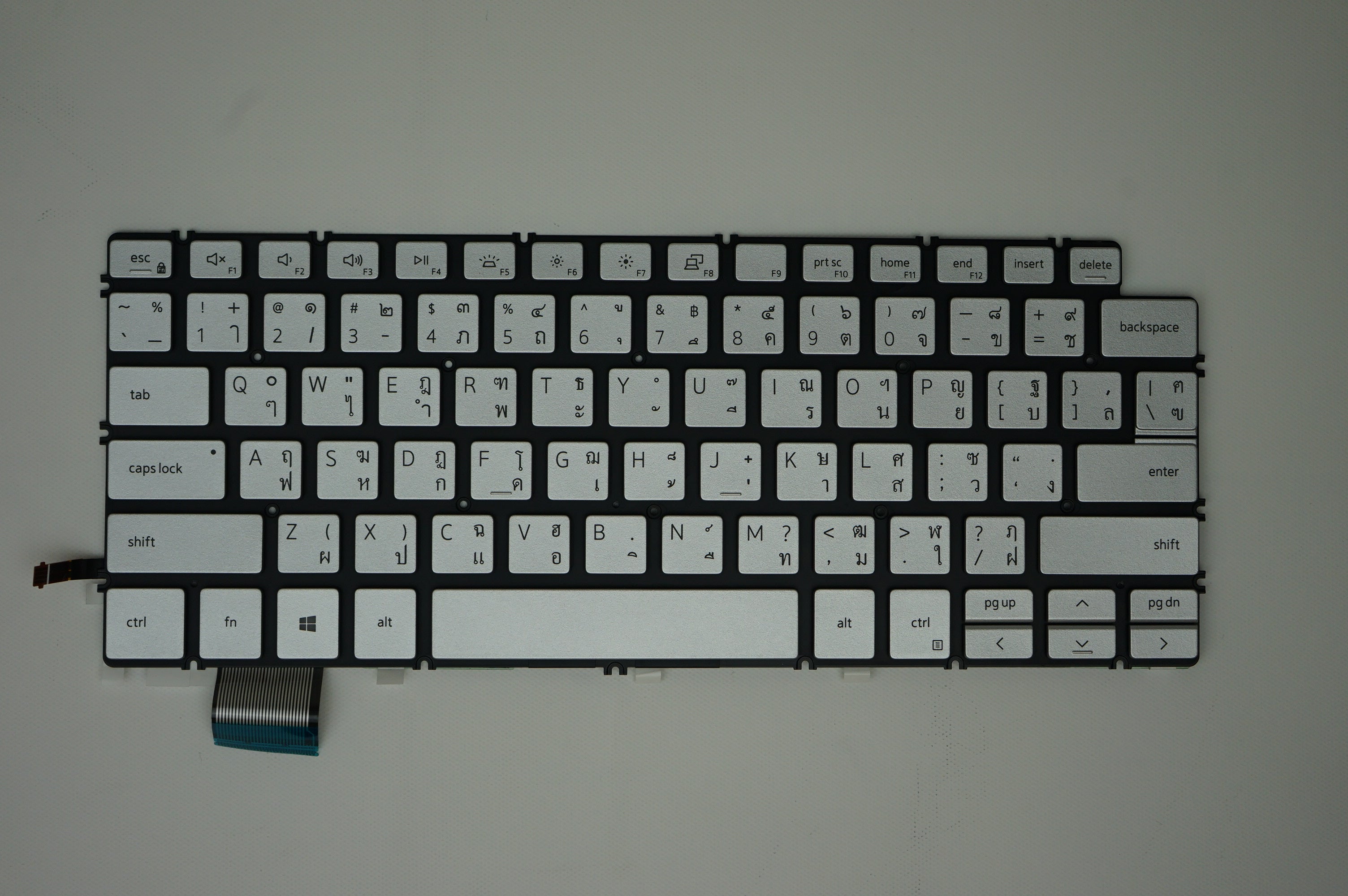 Components>Chassis & Chassis Parts>Laptops - Dell - 1H02X - New
