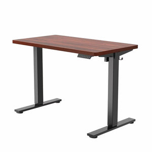 Flexispot E2B4224N Single Monitor Standing Desk E2