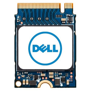 256gb Alpha Series Secure M.2 Nvme 2230 Solid State Drive