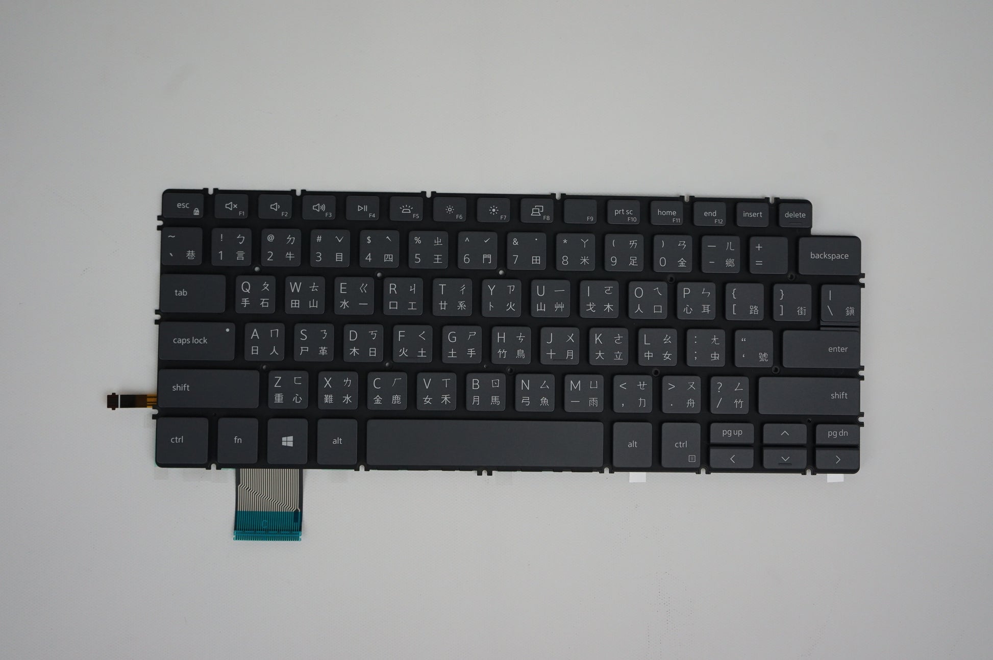 Components>Chassis & Chassis Parts>Laptops - Dell - H1XW3 - New