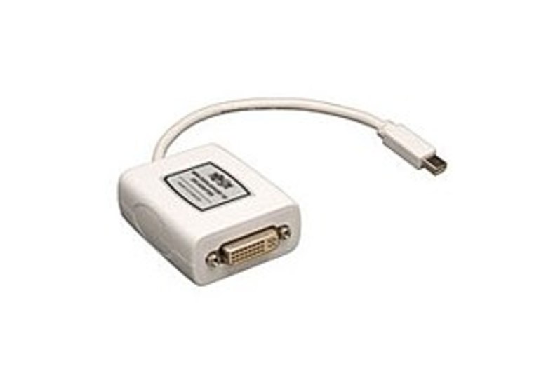 Tripp Lite P137-06N-DVI Mini Displayport to DVI Adapter 6 Feet Video Cable - Mini DisplayPort Male Digital Audio/Video - White