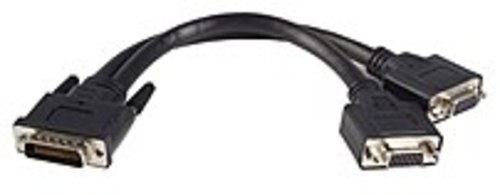 Startech DMSVGAVGA1 VGA Cable 8-inch LFH 59 Male to Dual Female VGA DMS 59 Y Cable - Copper Conductor - Black