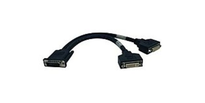 Tripp Lite P576-001 1 Feet DVI Splitter - DMS-59 - Black