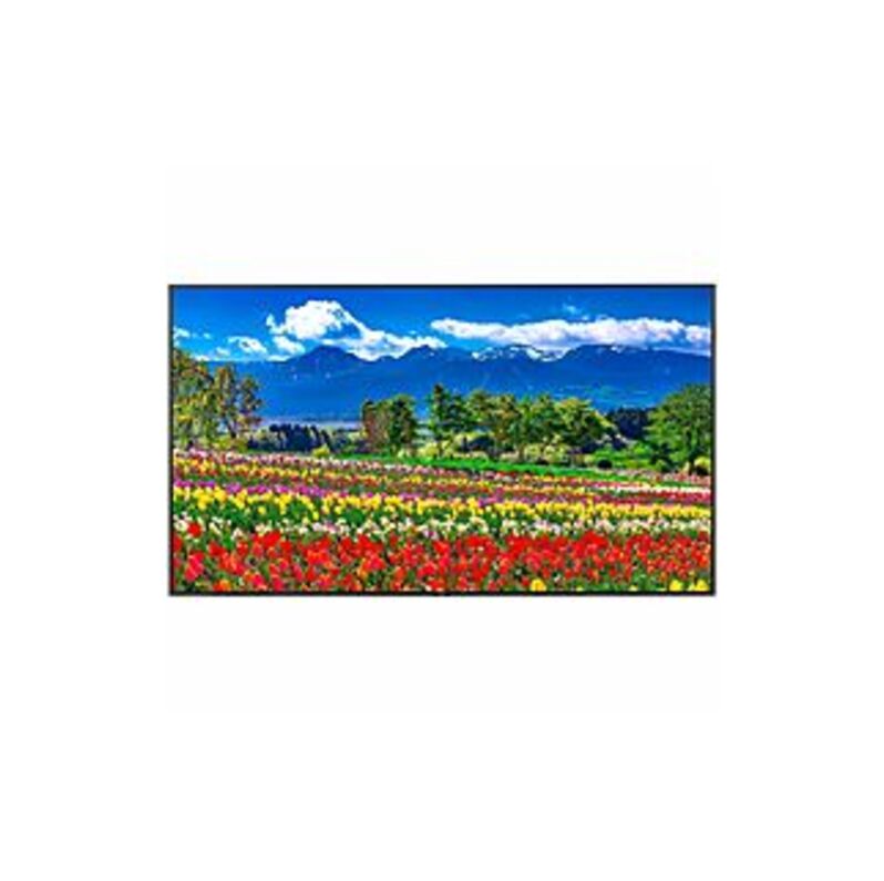 Sharp NEC Monitor 75 Ultra High Definition Professional Monitor - 75 LCD - High Dynamic Range (HDR) - 3840 X 2160 - Direct LED - 500 Nit - 2160p - H