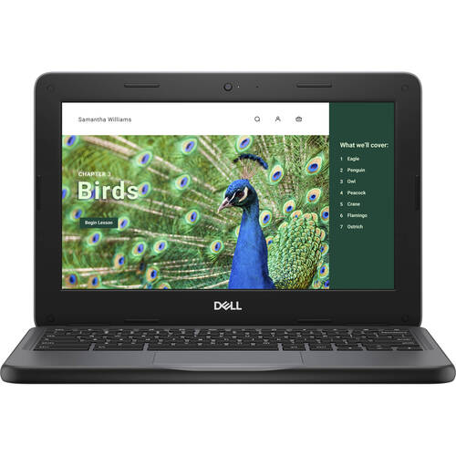 Dell Chromebook 3000 3120 NRD5N 11.6 inches HD Clamshell Chromebook - Gray - Intel N-Series N100 - 8 GB RAM - 64 GB Flash Memory - English (US) Keyboa